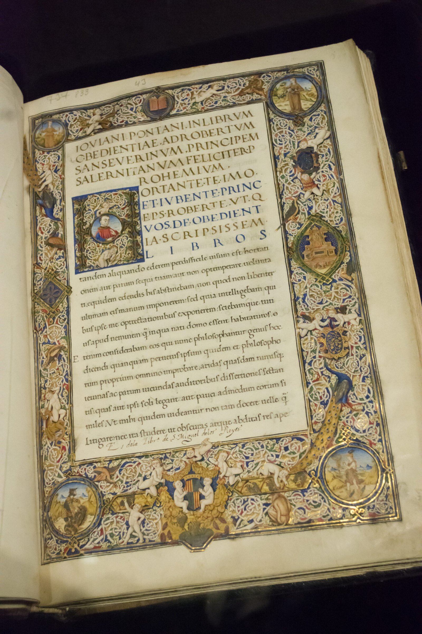 Джованни Джовиано Понтано. «Байи» (обзор)