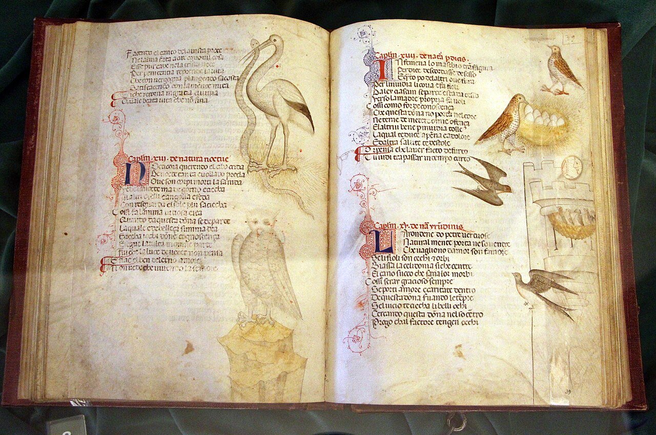 Итальянские аверроисты (Падуя, Болонья, Неаполь)